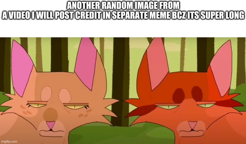ANOTHER RANDOM IMAGE FROM A VIDEO I WILL POST CREDIT IN SEPARATE MEME BCZ ITS SUPER LONG | image tagged in haha brrrrrrr | made w/ Imgflip meme maker