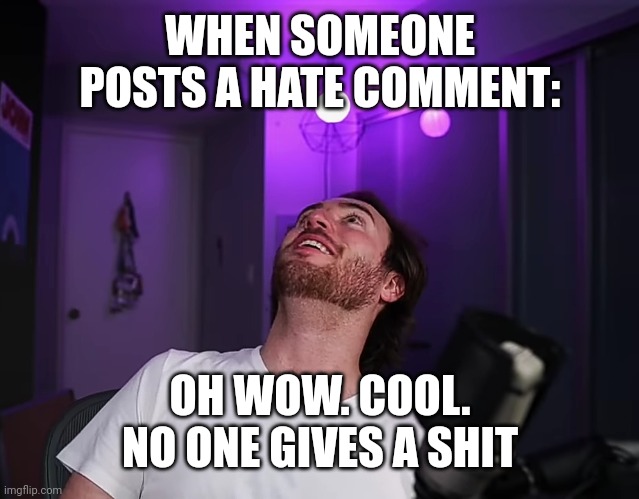 Hunter wow boom | WHEN SOMEONE POSTS A HATE COMMENT:; OH WOW. COOL. NO ONE GIVES A SHIT | image tagged in hunter wow boom | made w/ Imgflip meme maker