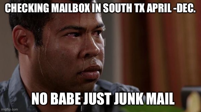 Texas heat | CHECKING MAILBOX IN SOUTH TX APRIL -DEC. NO BABE JUST JUNK MAIL | image tagged in sweating bullets | made w/ Imgflip meme maker