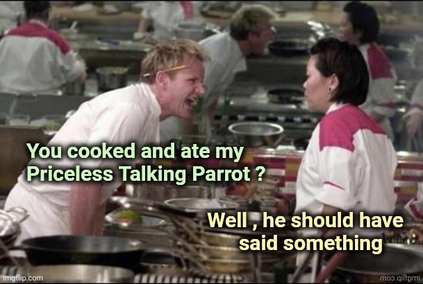 Tasted like chicken | You cooked and ate my
  Priceless Talking Parrot ? Well , he should have  
said something | image tagged in chef gordon ramsay,for really big mistakes,kitchen nightmares,angry birds | made w/ Imgflip meme maker