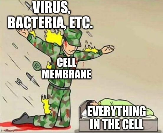 Soldier protecting sleeping child |  VIRUS, BACTERIA, ETC. CELL MEMBRANE; EVERYTHING IN THE CELL | image tagged in soldier protecting sleeping child | made w/ Imgflip meme maker