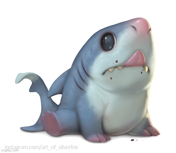 Here is a baby land shark to keep you going. | made w/ Imgflip meme maker