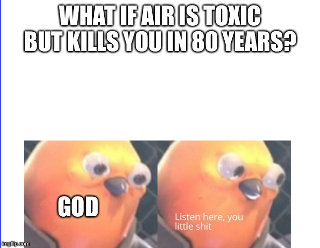 Listen here you little shit | WHAT IF AIR IS TOXIC BUT KILLS YOU IN 80 YEARS? GOD | image tagged in listen here you little shit | made w/ Imgflip meme maker