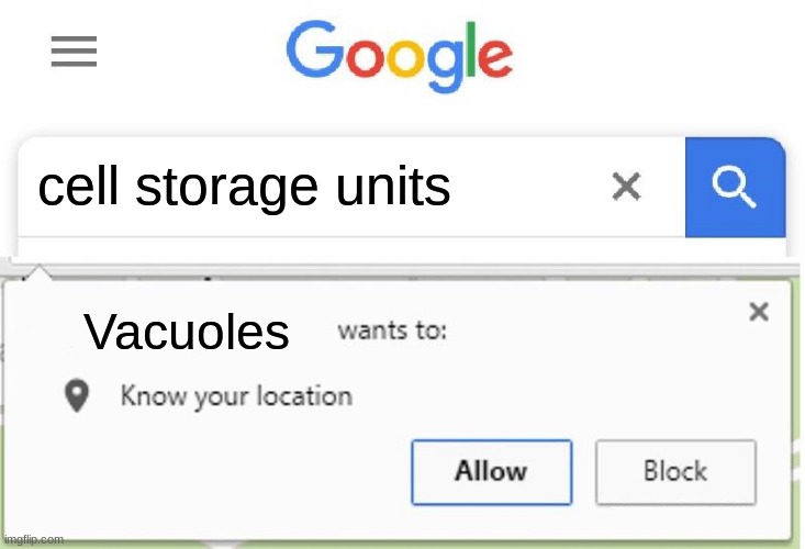 Wants to know your location |  cell storage units; Vacuoles | image tagged in wants to know your location | made w/ Imgflip meme maker