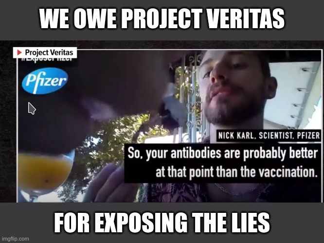 They got 3 Pfizer scientists on video - saying the same things, and it's all about the money | WE OWE PROJECT VERITAS; FOR EXPOSING THE LIES | image tagged in covid-19,covid vaccine | made w/ Imgflip meme maker