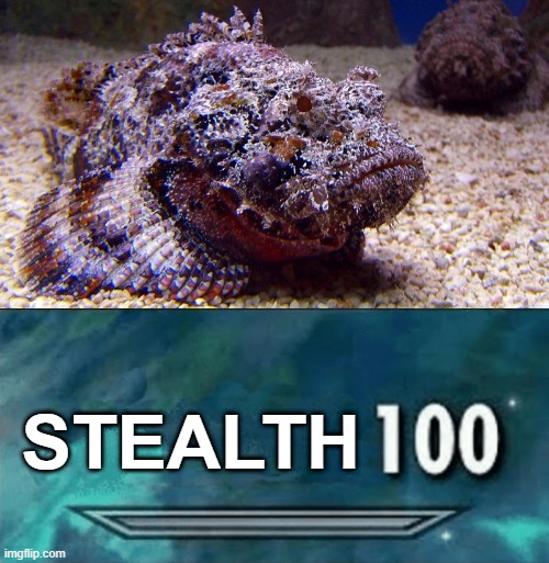 STEALTH | image tagged in skyrim skill meme | made w/ Imgflip meme maker