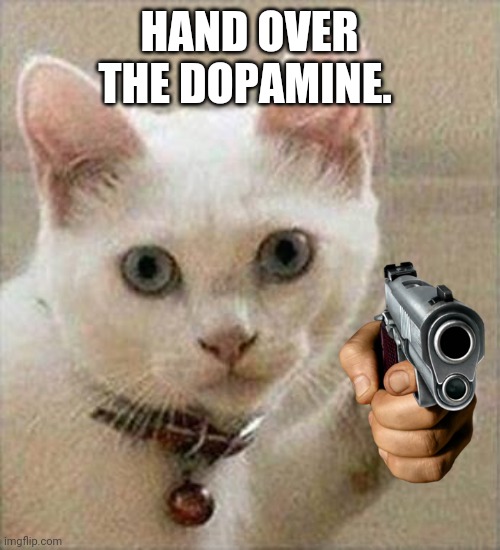 The happiness, hand it over. | HAND OVER THE DOPAMINE. | image tagged in motivation cat | made w/ Imgflip meme maker