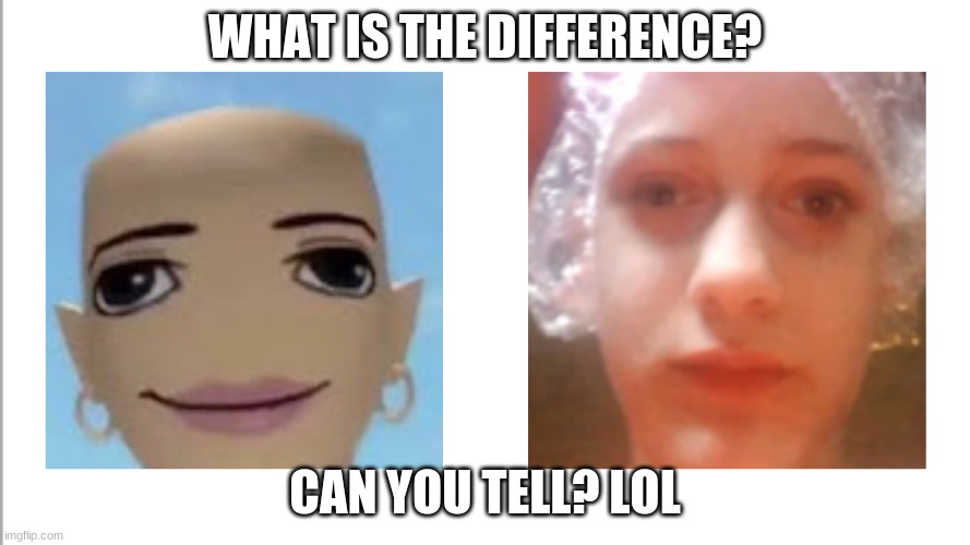 no difference | WHAT IS THE DIFFERENCE? CAN YOU TELL? LOL | image tagged in funny | made w/ Imgflip meme maker