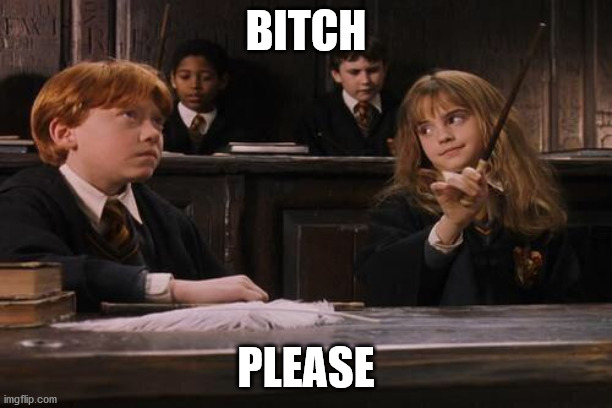 Hermione |  BITCH; PLEASE | image tagged in hermione,harry potter,ron weasley,hermione granger | made w/ Imgflip meme maker