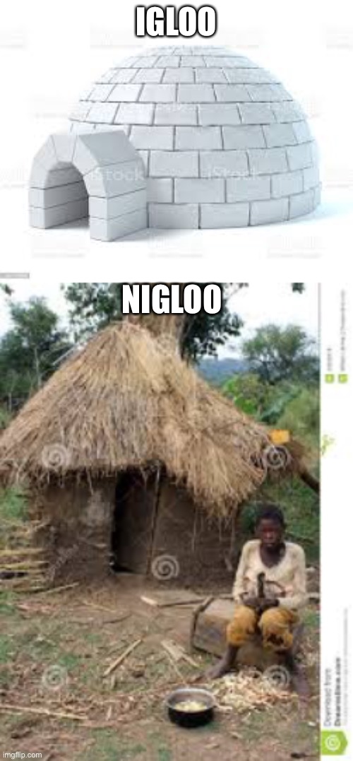 Nigloo | IGLOO; NIGLOO | image tagged in nigloo,igloo | made w/ Imgflip meme maker