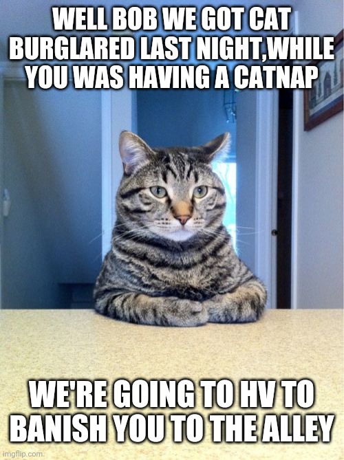 Take A Seat Cat |  WELL BOB WE GOT CAT BURGLARED LAST NIGHT,WHILE YOU WAS HAVING A CATNAP; WE'RE GOING TO HV TO BANISH YOU TO THE ALLEY | image tagged in memes,take a seat cat | made w/ Imgflip meme maker