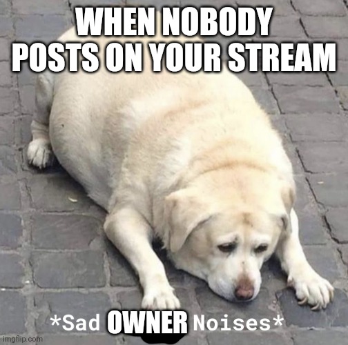 Post something plz |  WHEN NOBODY POSTS ON YOUR STREAM; OWNER | image tagged in sad doggo noises | made w/ Imgflip meme maker