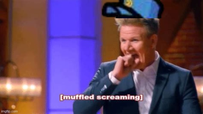 gordon ramsay muffled screaming | image tagged in gordon ramsay muffled screaming | made w/ Imgflip meme maker