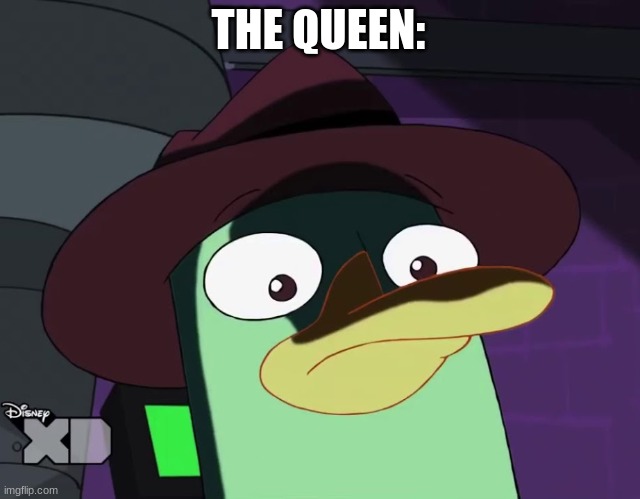 Unsettled Perry the platypus | THE QUEEN: | image tagged in unsettled perry the platypus | made w/ Imgflip meme maker