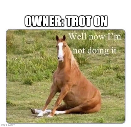 Disobedient horse | OWNER: TROT ON | image tagged in horse well now i m not doing it,horse,rebel,disobedience | made w/ Imgflip meme maker