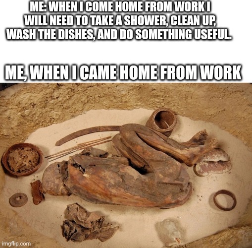 Work | ME: WHEN I COME HOME FROM WORK I WILL NEED TO TAKE A SHOWER, CLEAN UP, WASH THE DISHES, AND DO SOMETHING USEFUL. ME, WHEN I CAME HOME FROM WORK | image tagged in fun,work | made w/ Imgflip meme maker