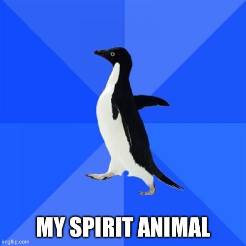 Spirit animal | MY SPIRIT ANIMAL | image tagged in memes,socially awkward penguin | made w/ Imgflip meme maker