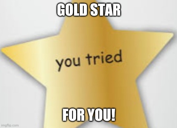 You tried | GOLD STAR FOR YOU! | image tagged in you tried | made w/ Imgflip meme maker