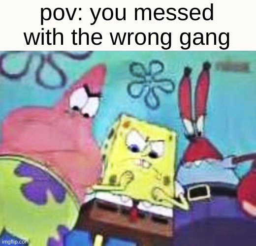 pov: you messed with the wrong gang | image tagged in memes,funny,fun,funny memes | made w/ Imgflip meme maker