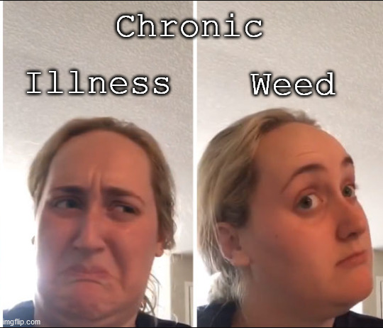 When It's Chronic | Chronic; Illness; Weed | image tagged in kombucha girl,chronic illness,weed | made w/ Imgflip meme maker