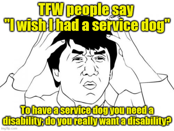 Jackie Chan WTF | TFW people say 
"I wish I had a service dog"; To have a service dog you need a disability; do you really want a disability? | image tagged in memes,jackie chan wtf,service dog,disability | made w/ Imgflip meme maker