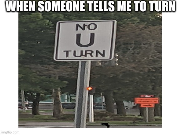 My Friend made this up, and it is beautiful | WHEN SOMEONE TELLS ME TO TURN | image tagged in road sign,road signs,no u | made w/ Imgflip meme maker