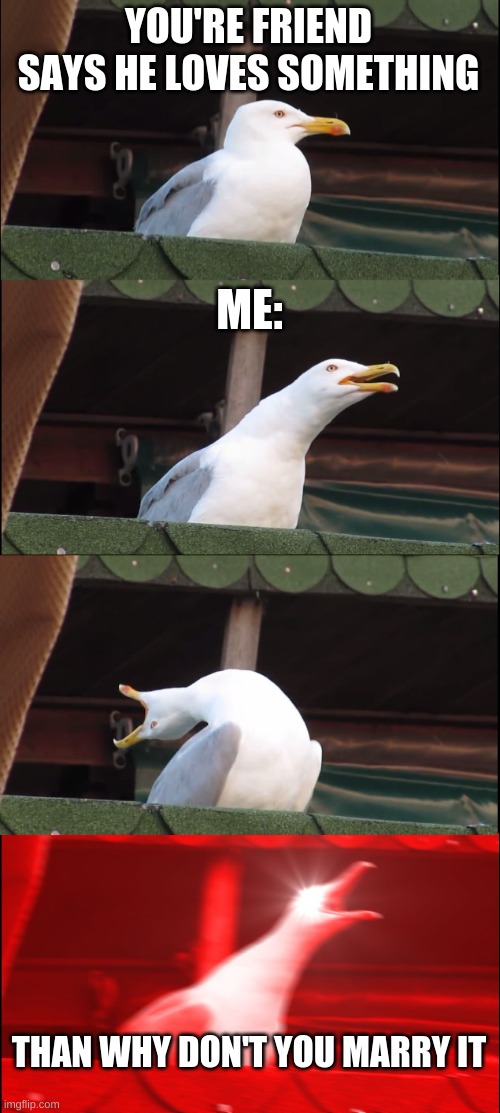 Inhaling Seagull | YOU'RE FRIEND SAYS HE LOVES SOMETHING; ME:; THAN WHY DON'T YOU MARRY IT | image tagged in memes,inhaling seagull | made w/ Imgflip meme maker