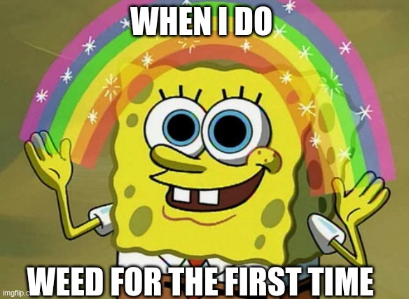 Weed Sponge | WHEN I DO; WEED FOR THE FIRST TIME | image tagged in memes,imagination spongebob | made w/ Imgflip meme maker