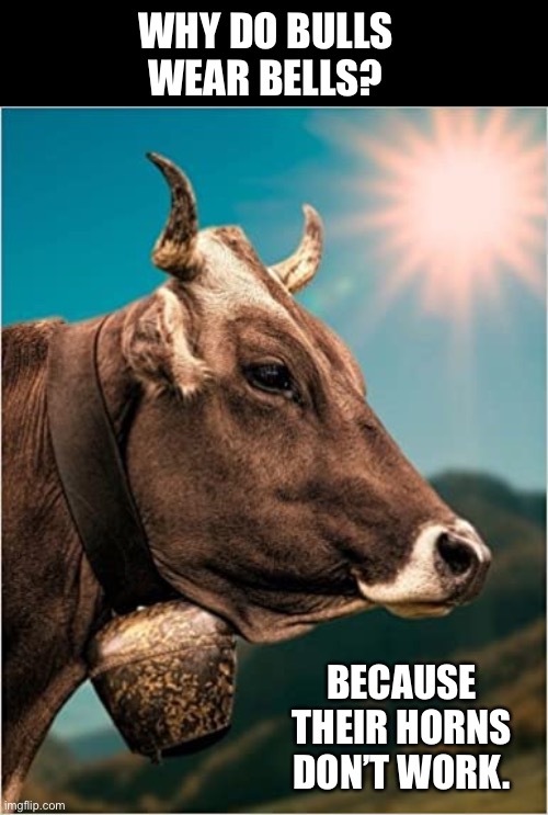 Horn | WHY DO BULLS WEAR BELLS? BECAUSE THEIR HORNS DON’T WORK. | image tagged in bad pun | made w/ Imgflip meme maker