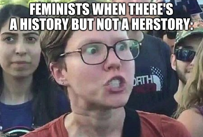Triggered Liberal | FEMINISTS WHEN THERE'S A HISTORY BUT NOT A HERSTORY: | image tagged in triggered liberal | made w/ Imgflip meme maker
