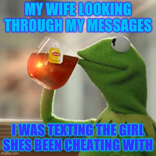But That's None Of My Business Meme | MY WIFE LOOKING THROUGH MY MESSAGES; I WAS TEXTING THE GIRL SHES BEEN CHEATING WITH | image tagged in memes,but that's none of my business,kermit the frog | made w/ Imgflip meme maker