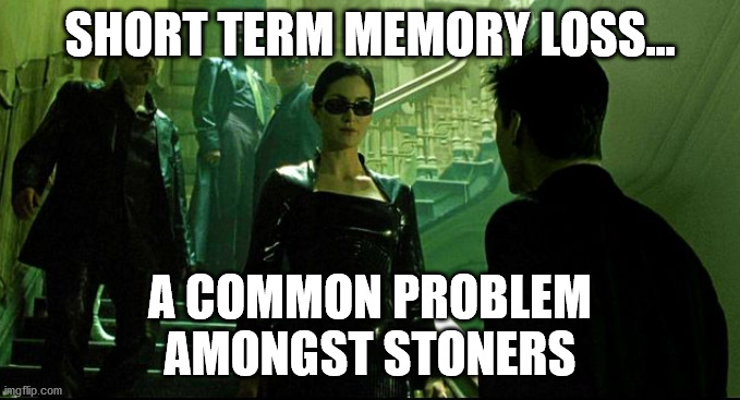 SHORT TERM MEMORY LOSS... A COMMON PROBLEM AMONGST STONERS | made w/ Imgflip meme maker