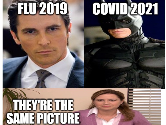 Do You See? | COVID 2021; FLU 2019; THEY'RE THE SAME PICTURE | image tagged in flu,covid,convid-1984,covaids-19,fauci sucks | made w/ Imgflip meme maker