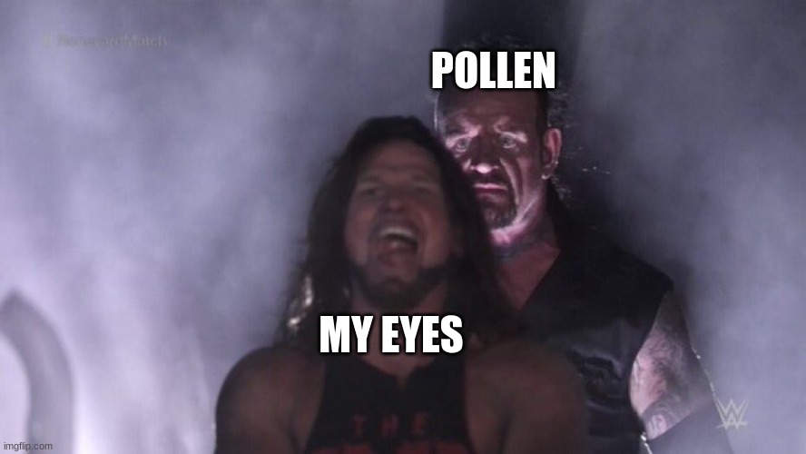 Time to scratch the hell out of my eyes | POLLEN; MY EYES | image tagged in aj styles undertaker | made w/ Imgflip meme maker