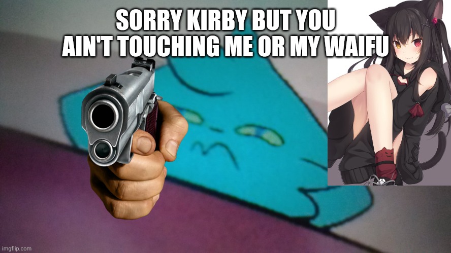 RetroFurry concerned | SORRY KIRBY BUT YOU AIN'T TOUCHING ME OR MY WAIFU | image tagged in retrofurry concerned | made w/ Imgflip meme maker