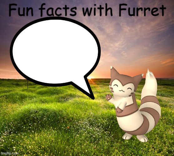 High Quality Fun facts with Furret Blank Meme Template