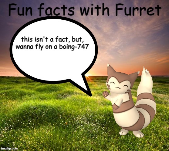 Fun facts with Furret | this isn't a fact, but, wanna fly on a boing-747 | image tagged in fun facts with furret | made w/ Imgflip meme maker