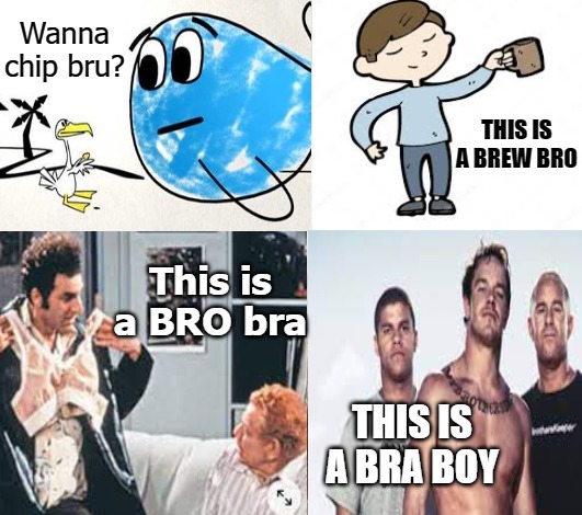 Wanna chip bru? THIS IS A BREW BRO; This is a BRO bra; THIS IS A BRA BOY | image tagged in memes,fifa e call of duty | made w/ Imgflip meme maker