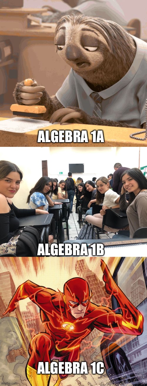 1b is fun | ALGEBRA 1A; ALGEBRA 1B; ALGEBRA 1C | image tagged in slow sloth,girls in class looking back,the flash | made w/ Imgflip meme maker