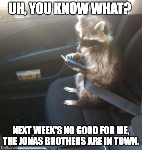 I'm Busy | UH, YOU KNOW WHAT? NEXT WEEK'S NO GOOD FOR ME, THE JONAS BROTHERS ARE IN TOWN. | image tagged in animals,jonas brothers,racoon,wtf,funny | made w/ Imgflip meme maker