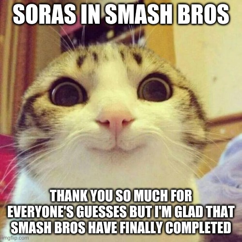 sora in smash bros | SORAS IN SMASH BROS; THANK YOU SO MUCH FOR EVERYONE'S GUESSES BUT I'M GLAD THAT SMASH BROS HAVE FINALLY COMPLETED | image tagged in memes,smiling cat,super smash bros,kingdom hearts | made w/ Imgflip meme maker