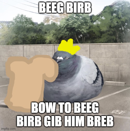 Beeg Birb | BEEG BIRB; BOW TO BEEG BIRB GIB HIM BREB | image tagged in beeg birb | made w/ Imgflip meme maker