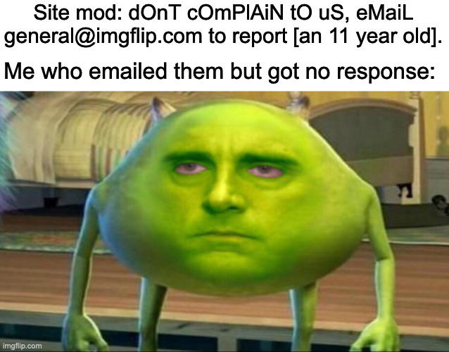 Stop telling me to email this crap when it doesn't do anything. | Site mod: dOnT cOmPlAiN tO uS, eMaiL general@imgflip.com to report [an 11 year old]. Me who emailed them but got no response: | image tagged in mike wazowski but he s high | made w/ Imgflip meme maker