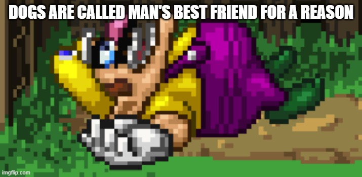 SSF2 dead Wario | DOGS ARE CALLED MAN'S BEST FRIEND FOR A REASON | image tagged in ssf2 dead wario | made w/ Imgflip meme maker