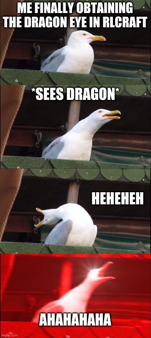 It do be like that doe | ME FINALLY OBTAINING THE DRAGON EYE IN RLCRAFT; *SEES DRAGON*; HEHEHEH; AHAHAHAHA | image tagged in memes,inhaling seagull | made w/ Imgflip meme maker