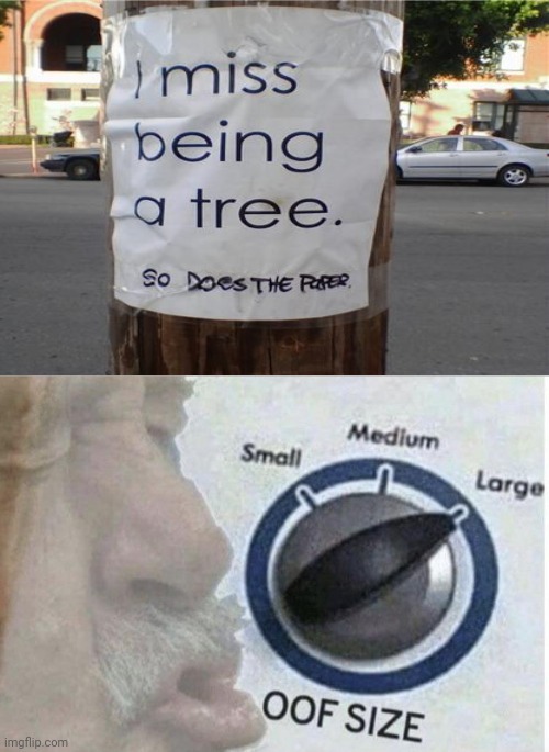 Missed being a tree | image tagged in oof size large,funny,memes,meme,paper,tree | made w/ Imgflip meme maker