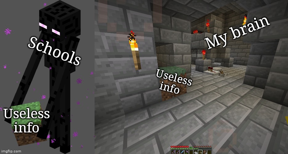 I've never posted this before (don't click tags) | My brain; Schools; Useless info; Useless info | image tagged in enderman placing block | made w/ Imgflip meme maker