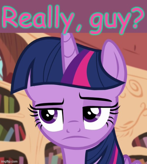 Unamused Twilight Sparkle (MLP) | Really, guy? | image tagged in unamused twilight sparkle mlp | made w/ Imgflip meme maker