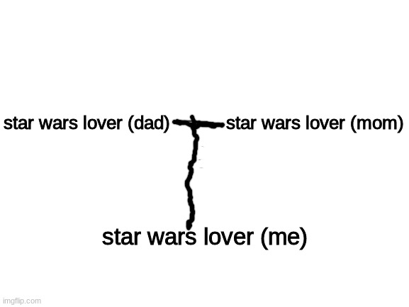 star wars lover + star wars lover = star wars lover | star wars lover (mom); star wars lover (dad); star wars lover (me) | image tagged in blank white template,star wars | made w/ Imgflip meme maker