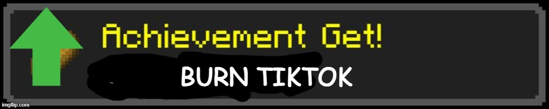Minecraft Custom Achievement | BURN TIKTOK | image tagged in minecraft custom achievement | made w/ Imgflip meme maker